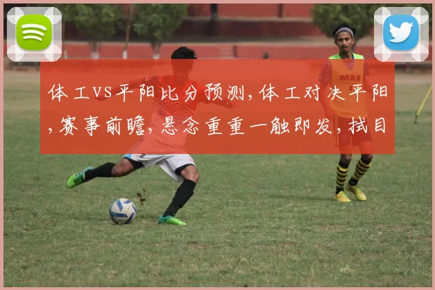 体工vs平阳比分预测,体工对决平阳,赛事前瞻,悬念重重一触即发,拭目以待